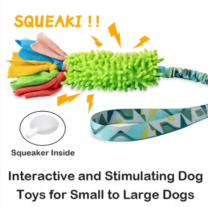 Eco-Friendly Durable Interactive Squeaky Dog Tug Toy with BB Squeaker Polyester & Chenille Teeth Cleaning Chew Dog Toy