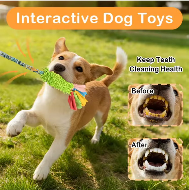 Eco-Friendly Durable Interactive Squeaky Dog Tug Toy with BB Squeaker Polyester & Chenille Teeth Cleaning Chew Dog Toy