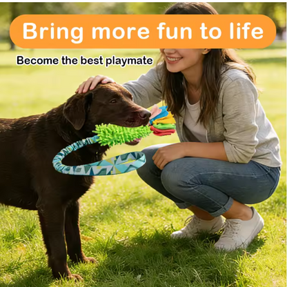 Eco-Friendly Durable Interactive Squeaky Dog Tug Toy with BB Squeaker Polyester & Chenille Teeth Cleaning Chew Dog Toy