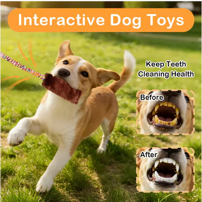 Comfortable Handle & Elastic Trap Puppy Dog Interactive Chew Toy Bungee Handle Durable Dog Tug Toys Mop Toy for Dogs