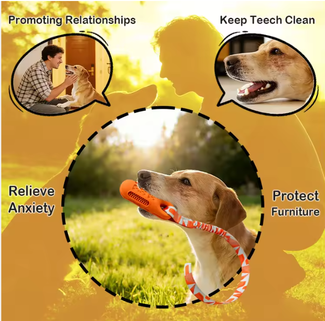 New Product Design Bungee Webbing Interactive Natural Rubber Floating Stick With Rope Pet Dog Chew Toy for Outdoor Play Training