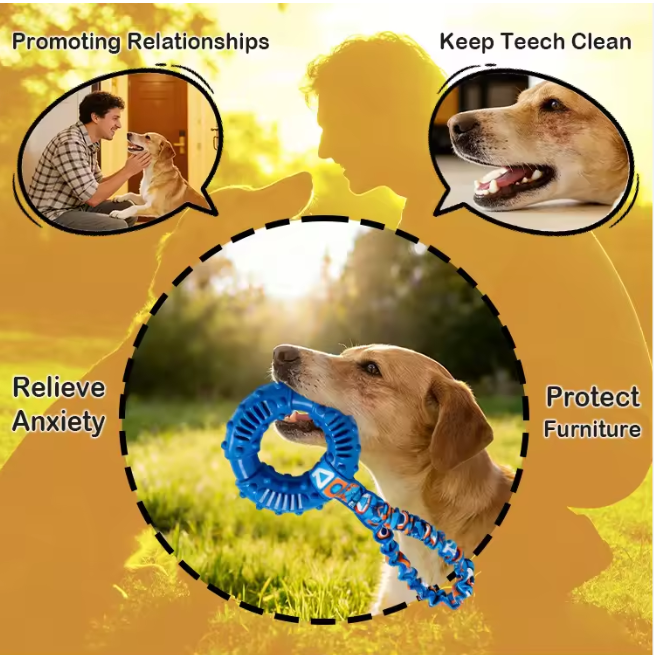 Durable Dog Chew Toy Natural Rubber Ring Textured Wear Bite Resistant Interactive Play for Medium Large Breeds