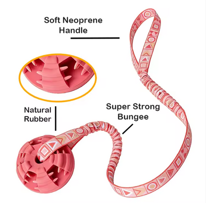 Dog Chew Toy Elastic Bungee Natural Rubber Ring Textured Reduces Plaque and Tartar Stops Furniture Damage Relieves Boredom
