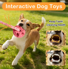 Dog Chew Toy Elastic Bungee Natural Rubber Ring Textured Reduces Plaque and Tartar Stops Furniture Damage Relieves Boredom