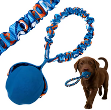 Dog Toy Natural Rubber Ball Elastic Bungee Strap Textured Non Toxic Teeth Cleaning Reduce Tartar Tear Resistant