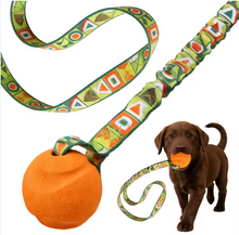 Interactive Elastic Bungee Dog Tug Toy Natural Rubber Ball for Dental Cleaning Anxiety Relief and Furniture Protection