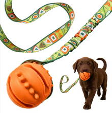 Interactive Dog Toy Natural Rubber Ball Textured Teeth Cleaning Elastic Bungee Strap Bonding With Owner for All Breeds
