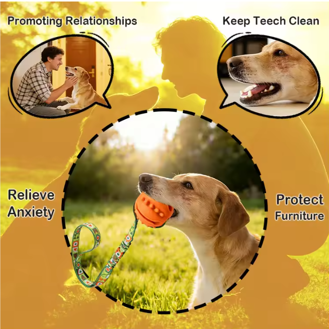 Interactive Dog Toy Natural Rubber Ball Textured Teeth Cleaning Elastic Bungee Strap Bonding With Owner for All Breeds