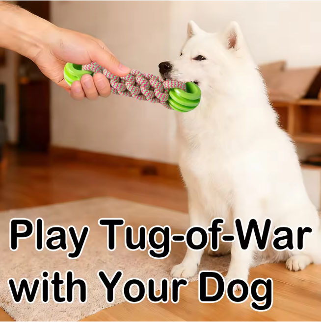 Interactive Durable Chewing Distractor Pet Chew Toy TPR Rubber for Dental Cleaning and Separation Anxiety