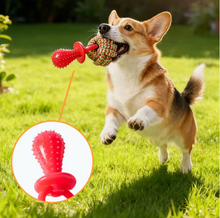 Manufacturer Wholesale OEM Custom Logo Bite Resistance Rope Knot Chew Toy for Tug Of-War and Teeth Cleaning Chew Rope Dog Toys