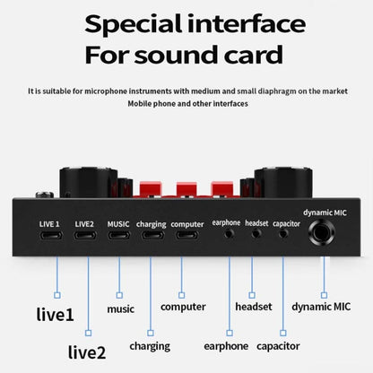 V8S Sound Card Mobile Phone Computer Anchor Live K Song Recording Microphone, English Version, V8S  + Golden Net BM700 Set, V8S  + Black Bet BM700 Set