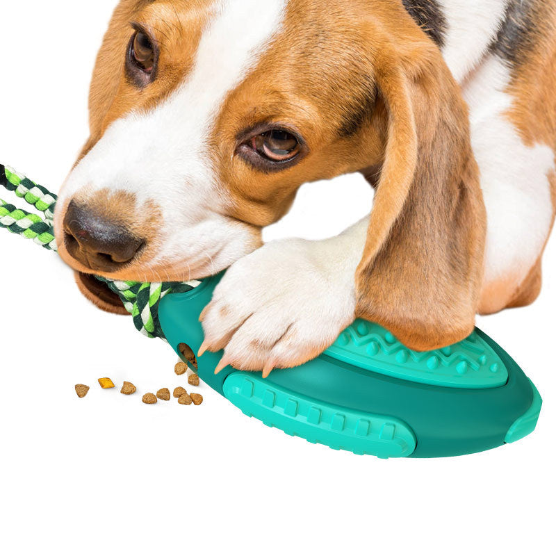 TUGME  Voice Leaky Molars Rugby Dog Toy