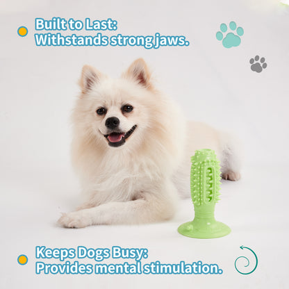 TUGME Different Functions Interactive Balls For Dogs Squeaky Dog Balls Toys And Puppy Teething Chew Toy Balls For Small Dogs Dog Balls For Clean Teeth And Training 4Pcs