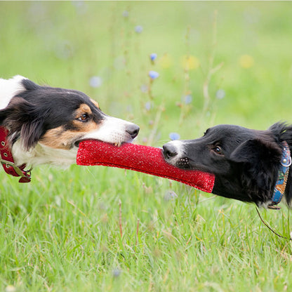 TUGME Durable Dog Bite Stick Creative Dog Tug Chew Stick For Teeth Cleaning, Ideal For Medium Breeds Stick For Interactive
