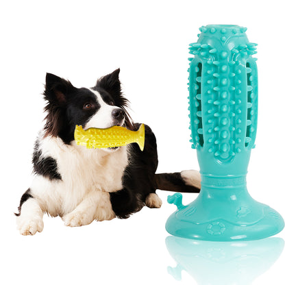 TUGME Different Functions Interactive Balls For Dogs Squeaky Dog Balls Toys And Puppy Teething Chew Toy Balls For Small Dogs Dog Balls For Clean Teeth And Training 4Pcs