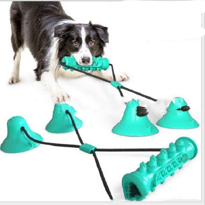 TUGME Suction Cup Molar Toy Chewing Bite Leaking Toy
