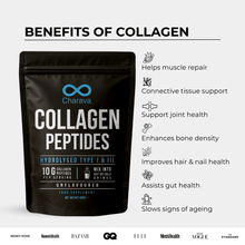 Bovine Collagen