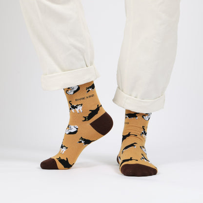 Halloween Themed Bundles