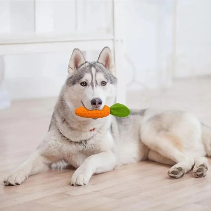 TUGME Carrot Dog Chew Toys Durable Rubber Squeaky Toy Shaped Dog Toys For Dogs Boredom Chewers Toothbrush Toy Supplies