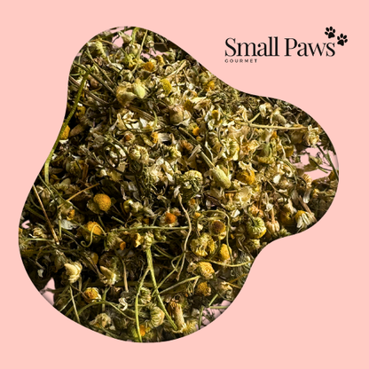 Chamomile Flower