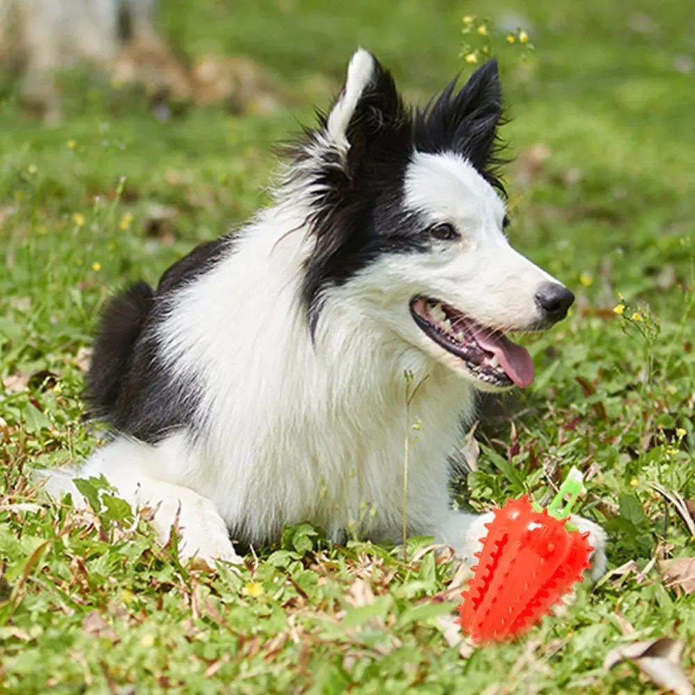 TUGME Interactive Dog Teething Chili Chewers Toy Interactive Toys Dog Toys
