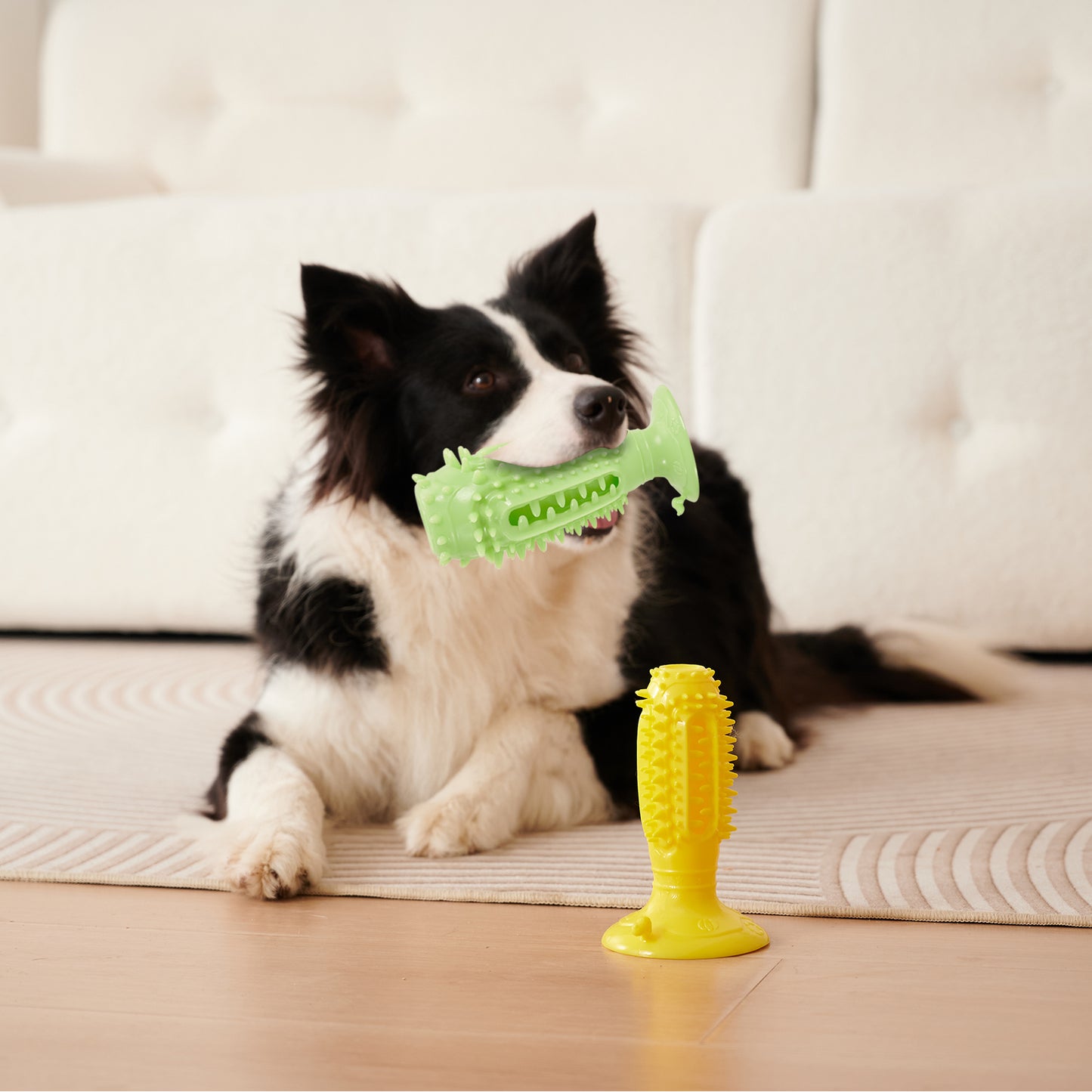 TUGME Different Functions Interactive Balls For Dogs Squeaky Dog Balls Toys And Puppy Teething Chew Toy Balls For Small Dogs Dog Balls For Clean Teeth And Training 4Pcs