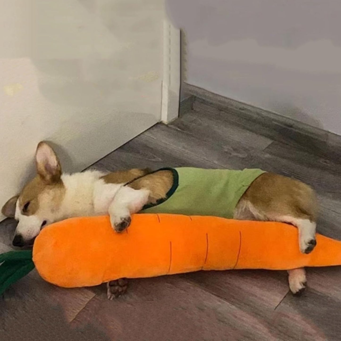 TUGME Cute Carrot With Soft Squeaker Carrot Shape Pet Plush Toy With Sound Bite-Resistant Soft Comfortable Dog Toy