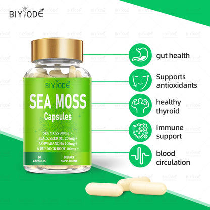 Ready Stock Sea Moss Supplement Capsules Factory Wholesale Seamoss Capsules
