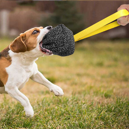 TUGME Pet Biting Pillow Chewing Teeth Coarse Hemp Interactive Dog Training
