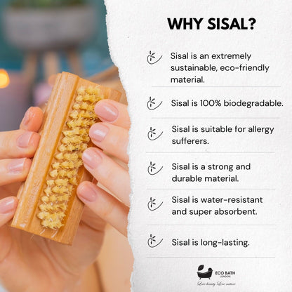 Eco Bath Natural Sisal Nail Brush Collection - Available in Beech Wood, Walnut Wood and Olive Wood