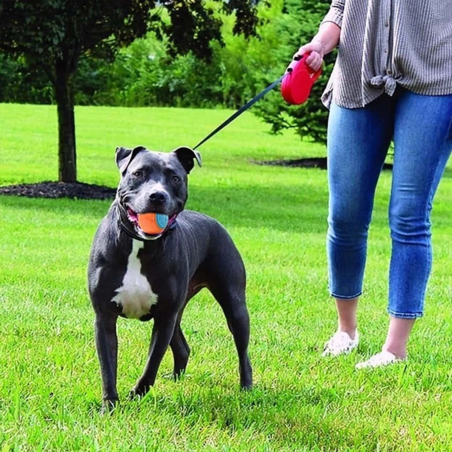 TUGME Pet Toy Dog Molar Long Lasting Sounding Training Ball
