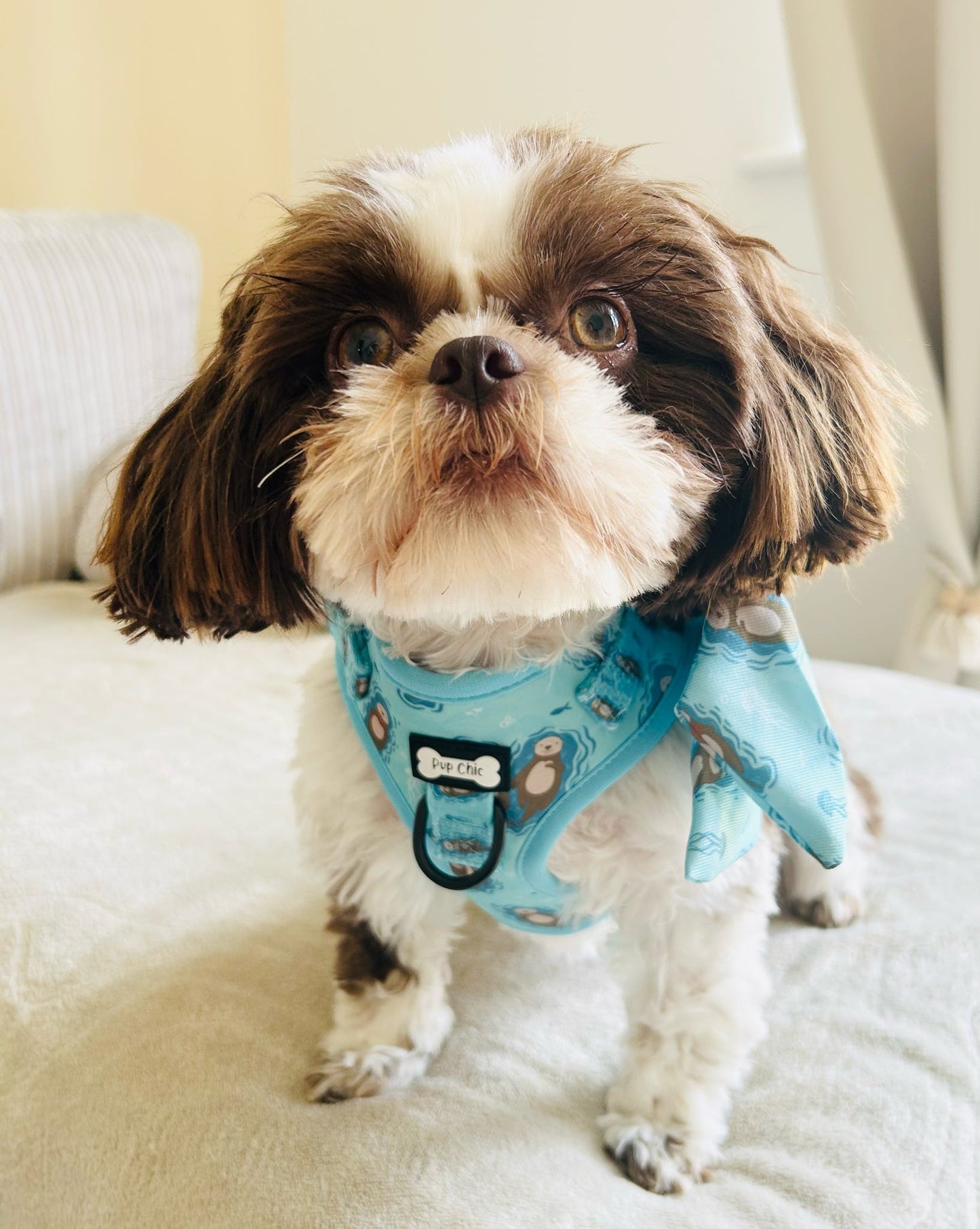 Otterly Lovely Step-In Adjustable Dog Harness