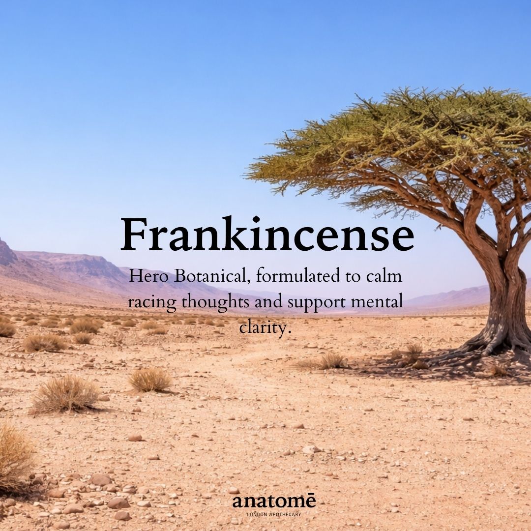 The Little Gift of Good Sleep - Frankincense | Overactive Mind