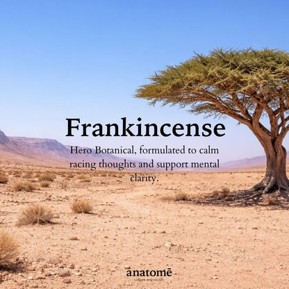 The Little Gift of Good Sleep - Frankincense | Overactive Mind