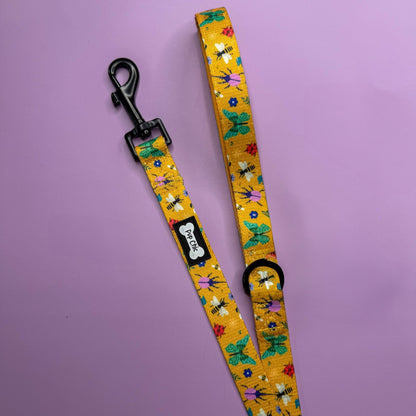 Summer Buzzin’ 5ft dog lead